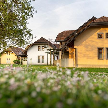 Terme Banovci - Hotelsko Naselje Zeleni Gaj Bagian luar foto