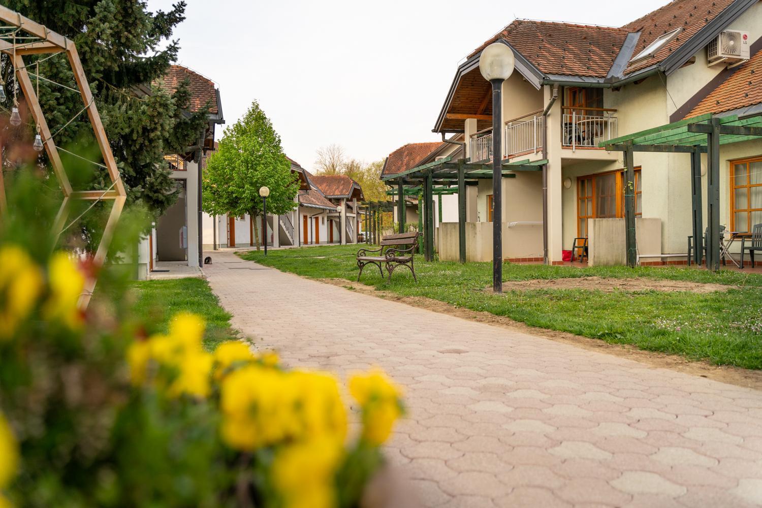 Terme Banovci - Hotelsko Naselje Zeleni Gaj Bagian luar foto