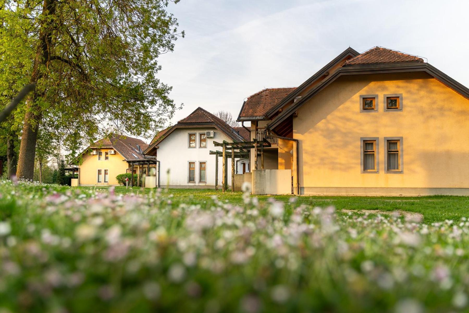 Terme Banovci - Hotelsko Naselje Zeleni Gaj Bagian luar foto